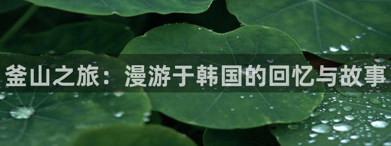 《歪歪漫画》：釜山之旅：漫游于韩国的回忆与故事