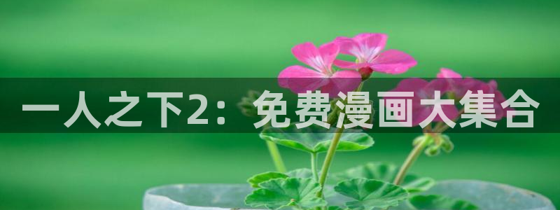 歪歪漫画,在线免费观看：一人之下2：免费漫画大集合