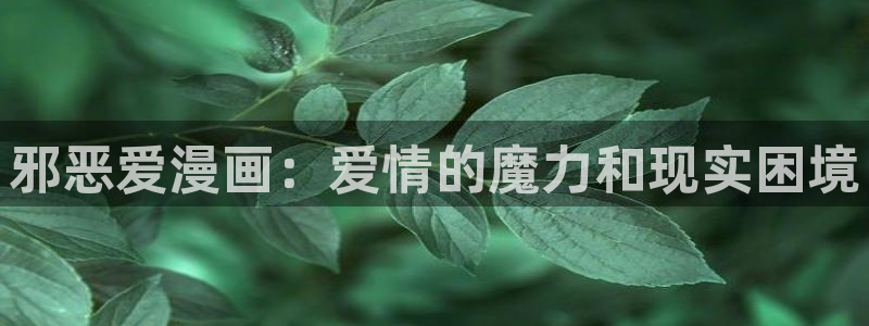 歪歪漫画进口：邪恶爱漫画：爱情的魔力和现实困境