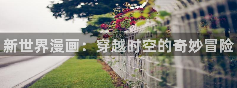 歪歪漫画平台免费观看：新世界漫画：穿越时空的奇妙冒险