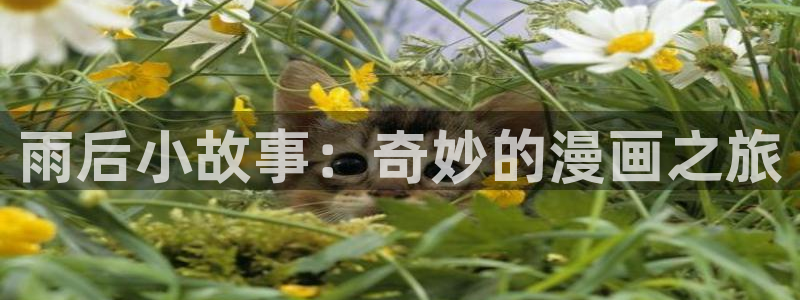 歪歪漫画网上的：雨后小故事：奇妙的漫画之旅
