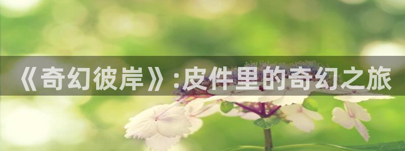 歪歪漫画51：《奇幻彼岸》:皮件里的奇幻之旅