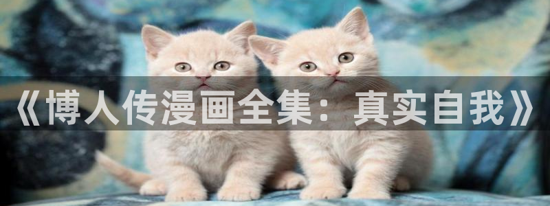 歪歪漫画sss免费：《博人传漫画全集：真实自我》