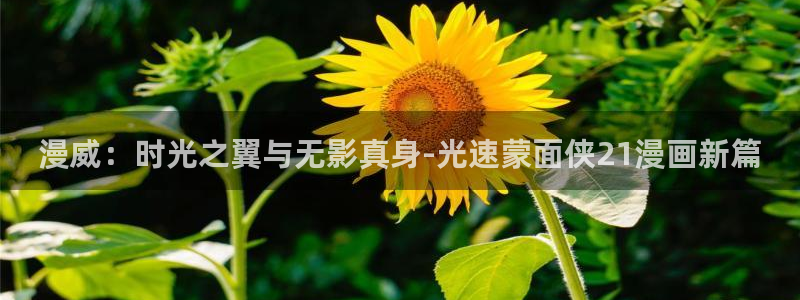 歪歪漫画韩国漫画：漫威：时光之翼与无影真身-光速蒙面侠21漫画新篇