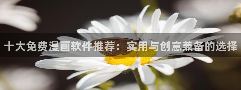 歪歪漫画偷窥：十大免费漫画软件推荐：实用与创意兼备的选择