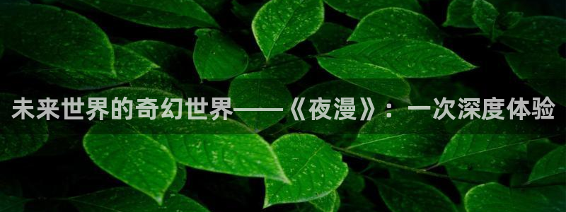歪歪漫画韩国在线：未来世界的奇幻世界——《夜漫》：一次深度体验