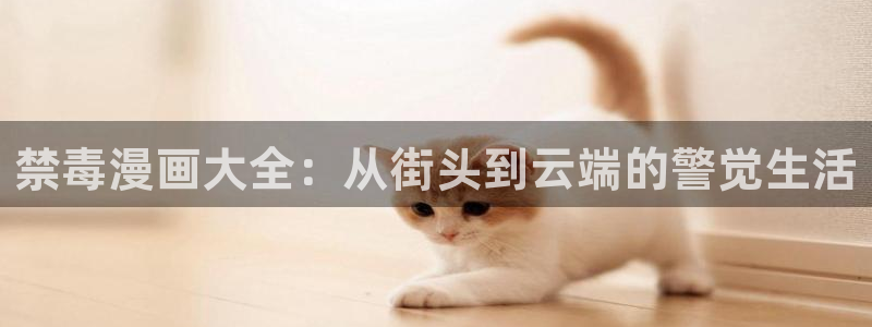 韩漫歪歪漫画破解版：禁毒漫画大全：从街头到云端的警觉生活