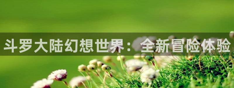歪歪漫画黄：斗罗大陆幻想世界：全新冒险体验