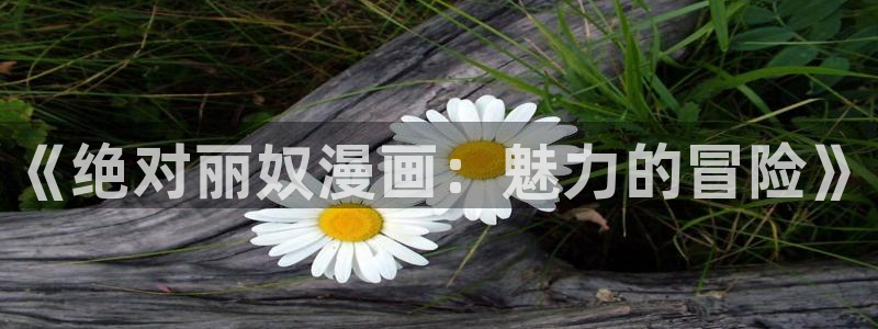 歪歪漫画韩漫免费入口：《绝对丽奴漫画：魅力的冒险》