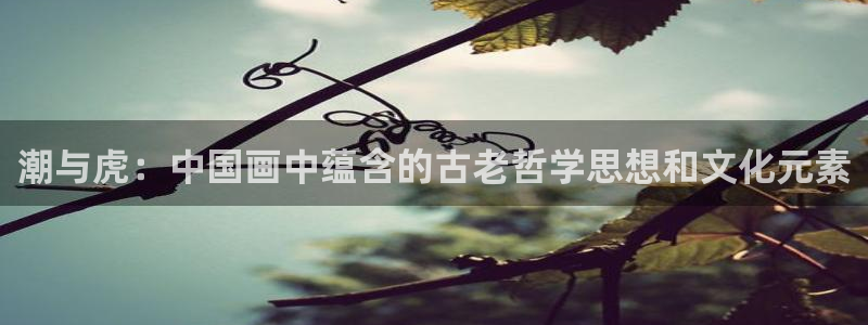韩国歪歪漫画：潮与虎：中国画中蕴含的古老哲学思想和文化元素