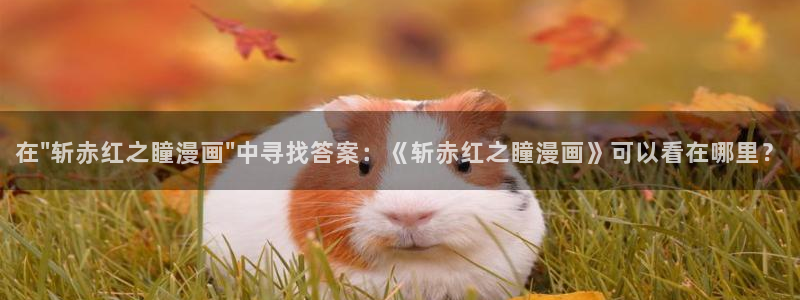 歪歪漫画免费在线观看韩漫：在\