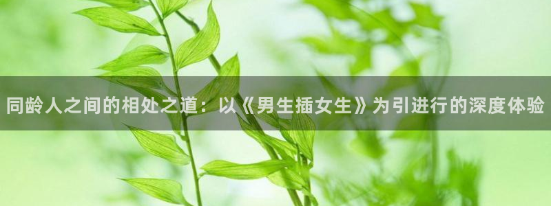 歪歪漫画在线网站入口