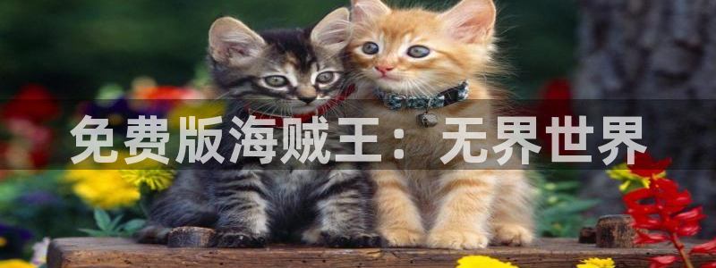 歪歪漫画韩漫在线入口