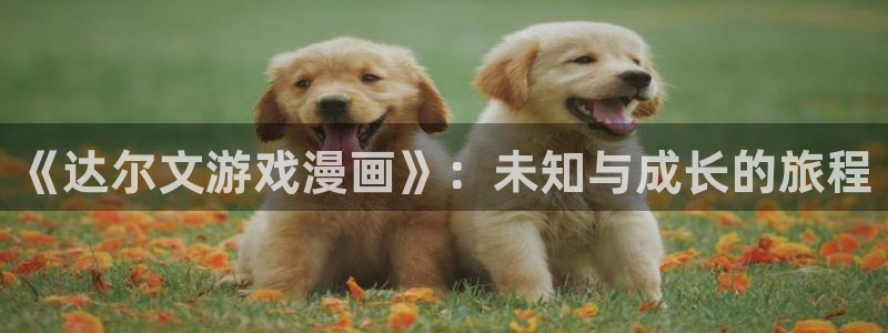歪歪漫画进入