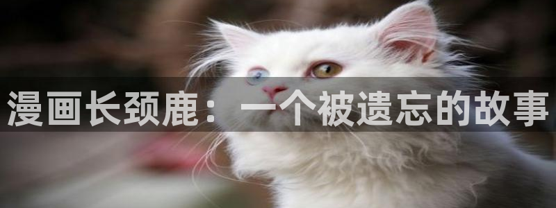 歪歪漫画sss下拉式