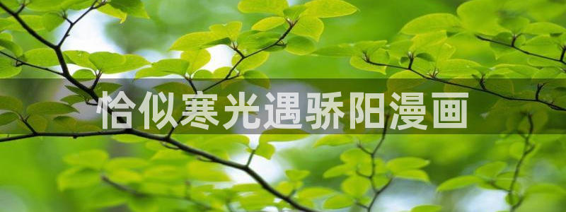 歪歪漫画sss网站