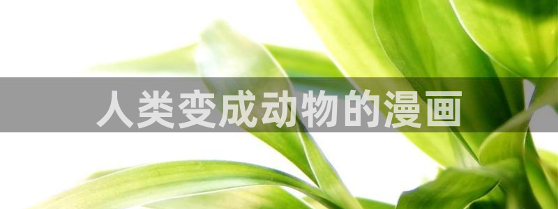 歪歪漫画com.com