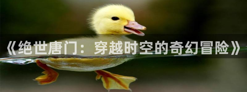 韩国免费漫画歪歪漫画首页：《绝世唐门：穿越时空的奇幻冒险》