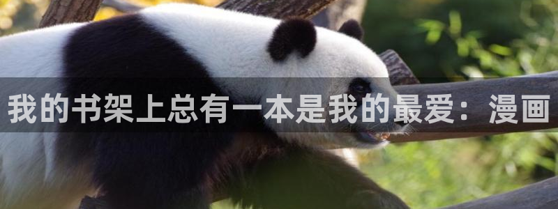 歪歪漫画在线观看视频在线观看免费阅读全文：我的书架上总有一本是我的最爱：漫画