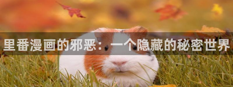 歪歪漫画韩漫免费阅读全文无删减版：里番漫画的邪恶：一个隐藏的秘密世界